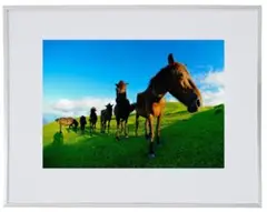 Item thumbnail for item 24c69104-649d-4c36-903f-7e3db653aff5
