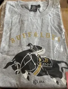 Item thumbnail for item 1e44db77-ae0a-40d0-a183-7beed383f7c0