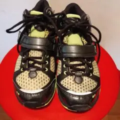 ライカ ズンバシューズ★フィットネス ryka 23.5cm