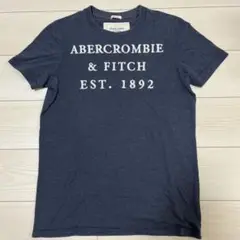 Abercrombie & Fitch ネイビー Tシャツ M