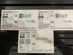 第１１８回　天皇賞(秋) サイレンススズカ ステイゴールド　現地馬連馬券 第118回 天皇賞(秋) サイレンススズカ ステイゴールド 現地