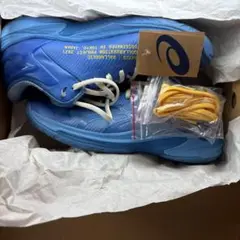 Item thumbnail for item 17ce048a-b4e1-4063-be2d-4ad2f6301e8f