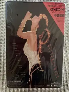 新品　中森明菜　イメージオマージュアルミプレートブリキ看板11