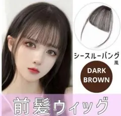 前髪ウィッグ レディース シースルー バング ダークブラウン