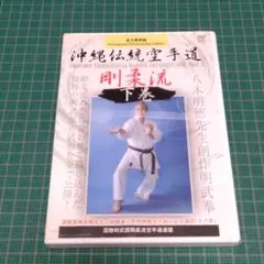 2025年最新】沖縄剛柔流空手道の人気アイテム - メルカリ