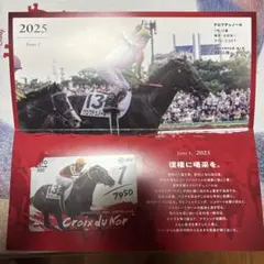 2025年日本ダービー クロワデュノール(コレクション用)