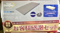トゥルースリーパー エアフリースマート ネックフィットピローセットかため