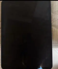iPad Pro (11インチ) グレー