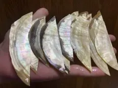 白蝶貝　お得セット　100g20枚前後　螺鈿細工　ハンドメイド　ハンドクラフト