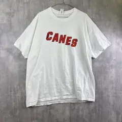 CANES ロゴTシャツ LANE & ASSOCIATES/ホワイト