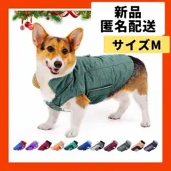 Item thumbnail for item 74537d54-954c-4eb0-8b68-1968ae16fe57
