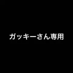 ガッキーさん専用出品