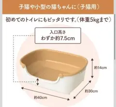 Item thumbnail for item b59bedac-91ca-488e-9294-88fd8e4baa60