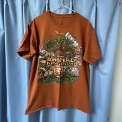 Disney Animal Kingdom Tシャツ オレンジ