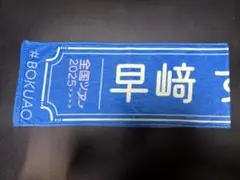 Item thumbnail for item 1512ef88-689b-4696-a5e3-aa315d1b19eb