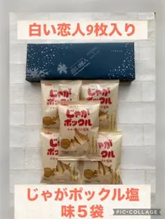 石屋製菓白い恋人9枚入り 、カルビーじゃがポックル塩味5袋入りセット