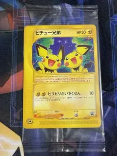 2025年最新】ピチュー兄弟 未開封の人気アイテム - メルカリ