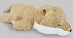 Item thumbnail for item 40813819-c6ef-4857-886d-15ec449177d5