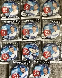 中日ドラゴンズ どらポジ応援！缶バッジくじ