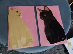 可愛い猫 カード 2枚
