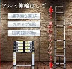 伸縮はしご 耐荷重約150kg 重量約6.8kg アルミ伸縮はしご 最大2.6m