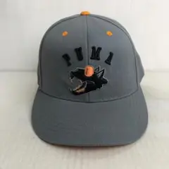 【US古着】PUMA プーマ チームもの キャップ グレー アニマル 小さめ
