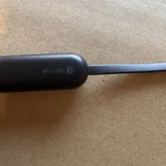 WI-C310