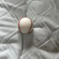 SoftBank HAWKS  甲斐拓也選手　サインボール ケース付き □ 【ソフトバンクホークス公式】19甲斐 拓也選手 直筆サイン