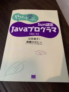 やさしく学ぶ Sun認定 Javaプログラマ (SJC-P)
