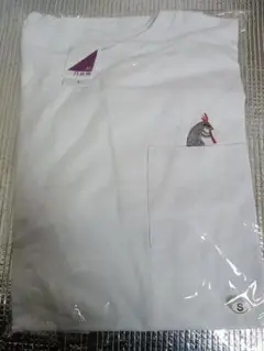 Item thumbnail for item f2845c31-0db7-4919-af18-e71847700da8