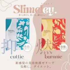 2025年最新】スリムレイ バーニーの人気アイテム - メルカリ