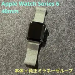 Apple Watch Series 6/GPS/40mm/スペースグレイ