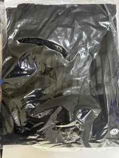 Item thumbnail for item 804ae909-2810-41e9-a91a-0d8c963d3b0a