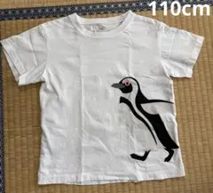 無印　ペンギンTシャツ　110cm