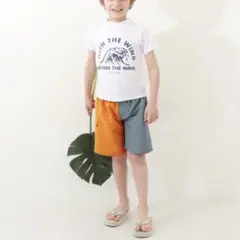 devirock サーフパンツ 100cm