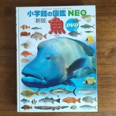 小学館の図鑑NEO 魚 DVDつき