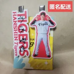 阪神タイガース シークレットグッズ 木浪聖也選手