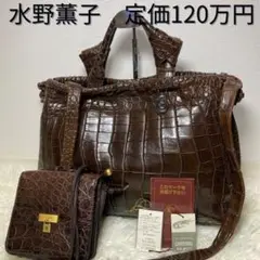 【定価120万円】水野薫子 JRA認定 クロコダイル 2way ポーチ付き 茶色