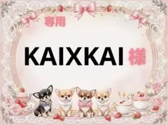 専用