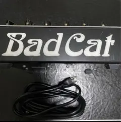 12/31まで限定価格　Bad Cat 2-Tone MATCHLESS 2025年最新】bad cat 2-toneの人気アイテム - メルカリ