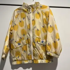 Item thumbnail for item 63e5f75a-61f2-4fe0-8225-67b704af8bc8