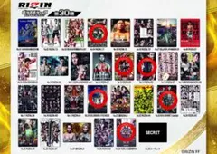 RIZIN ポテトスティック　カード　6枚セット
