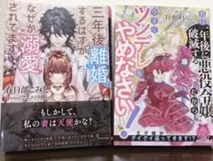(小説) 2冊売り