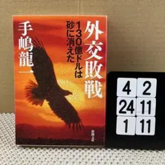 外交敗戦 130億ドルは砂に消えた 4-2*241/11