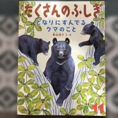 Item thumbnail for item 8ae7dd27-901b-41c8-8a5e-52f4a37b905c