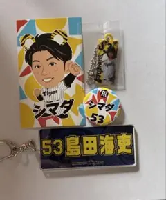 阪神タイガース島田海吏選手 3点セットお買得