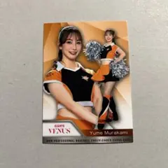 Item thumbnail for item 50176e9f-2386-4820-b2a9-273414e20f18