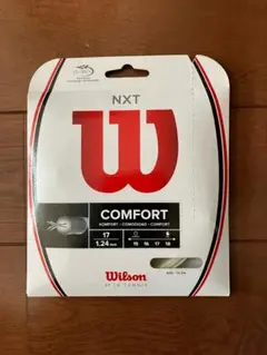 Wilson NXT 17