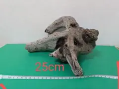 Item thumbnail for item a5a78be5-349d-45a9-98c4-3337d09adcae