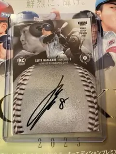 Item thumbnail for item 49c432ff-3a14-491e-951b-20f221dac273